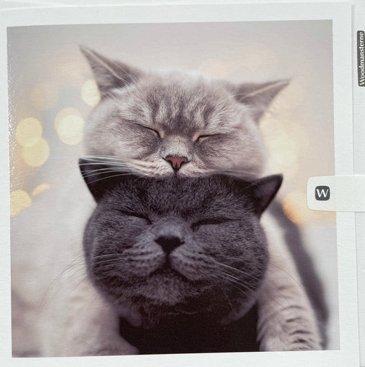 SINGLE CARD -