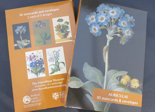Auriculas Notecards