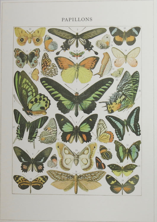 SINGLE CARD -