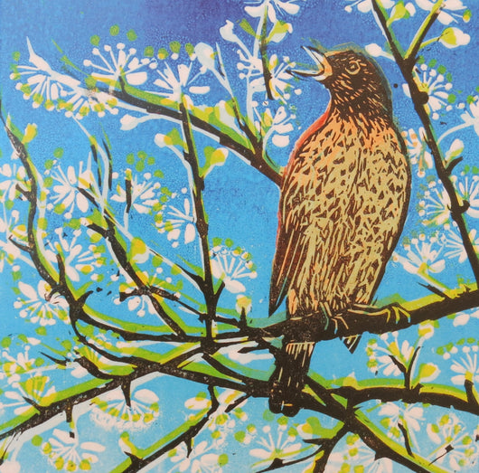 SINGLE CARD - Caroline Barker,