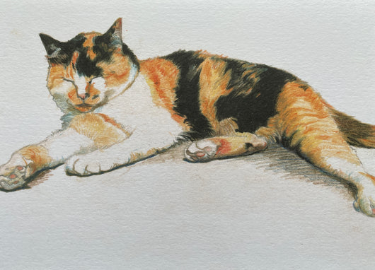 SINGLE CARD - “Tabby”, Melvyn Peterson