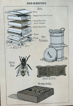 SINGLE CARD - Bee-Keeping