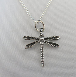 Dragonfly pendant and chain