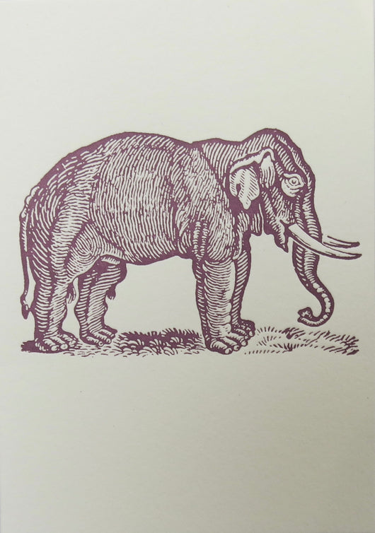 SMALL SINGLE CARD - Elephant
