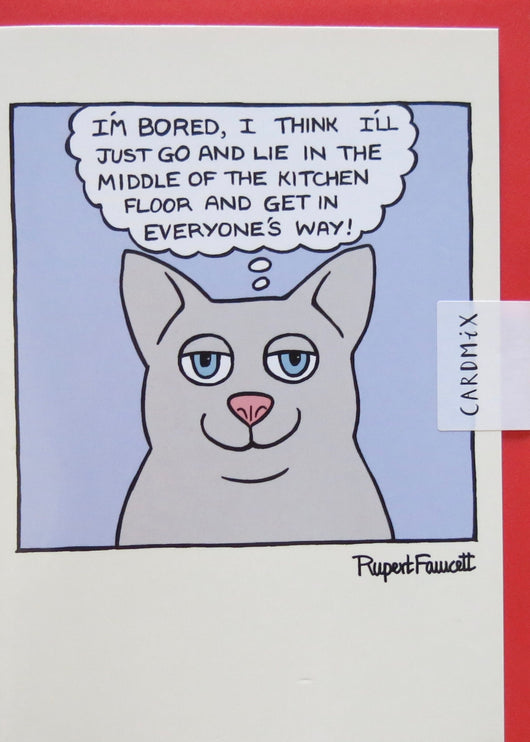 SINGLE CARD - On The Prowl -Bored Cat