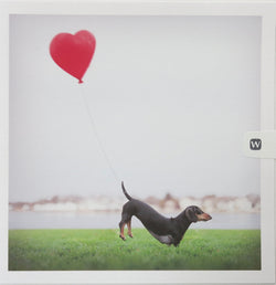 SINGLE CARD - Romeo, Dachshund